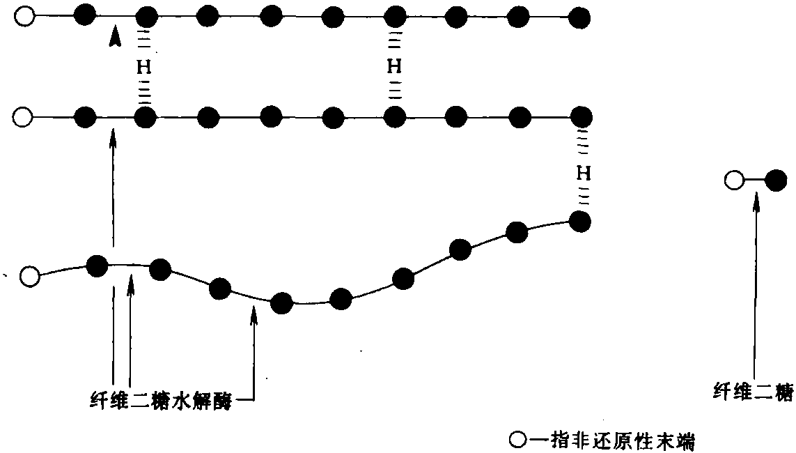 3.7纖維素酶